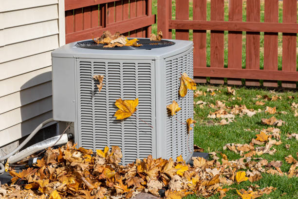 Best HVAC Repair Near Me  in Ly Lake, IL